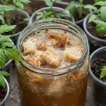 Fertilizzante per pane segreto per una partenza potente delle deboli piantine primaverili fertilizzante-per-pane-segreto-per-una-partenza-potente-delle-deboli.png